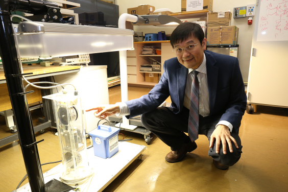 Professor Ron Hui's research team develops the world’s first passive LED driver that has designed lifetime exceeding 10 years with improved energy efficiency, lifetime and recyclability